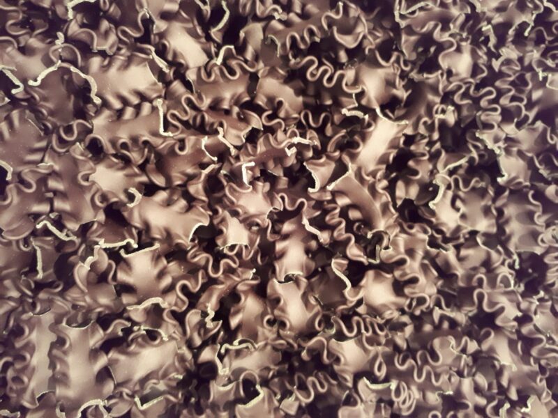 Malfadine -  Spiruline – Image 2